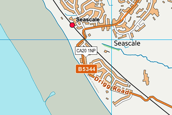 CA20 1NP map - OS VectorMap District (Ordnance Survey)