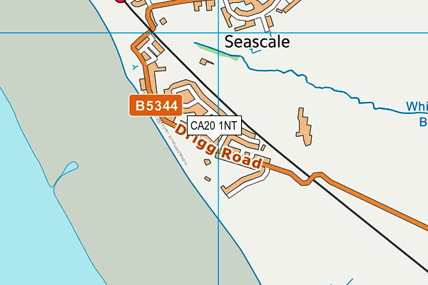 CA20 1NT map - OS VectorMap District (Ordnance Survey)