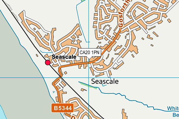 CA20 1PN map - OS VectorMap District (Ordnance Survey)