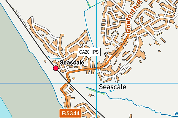 CA20 1PS map - OS VectorMap District (Ordnance Survey)