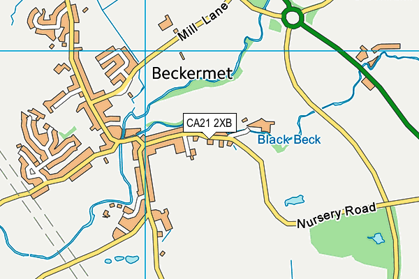 CA21 2XB map - OS VectorMap District (Ordnance Survey)