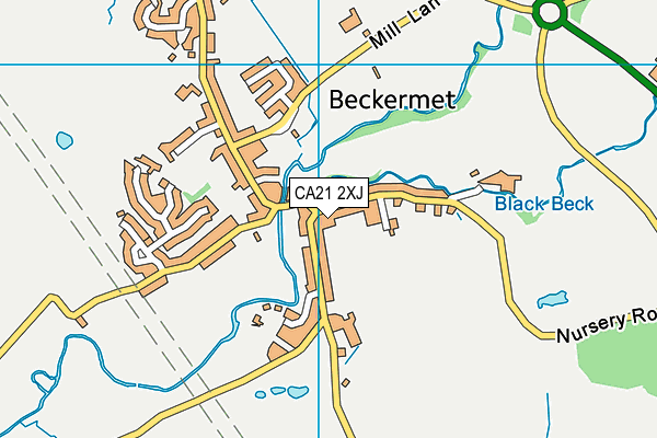 CA21 2XJ map - OS VectorMap District (Ordnance Survey)