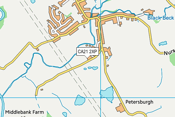 CA21 2XP map - OS VectorMap District (Ordnance Survey)