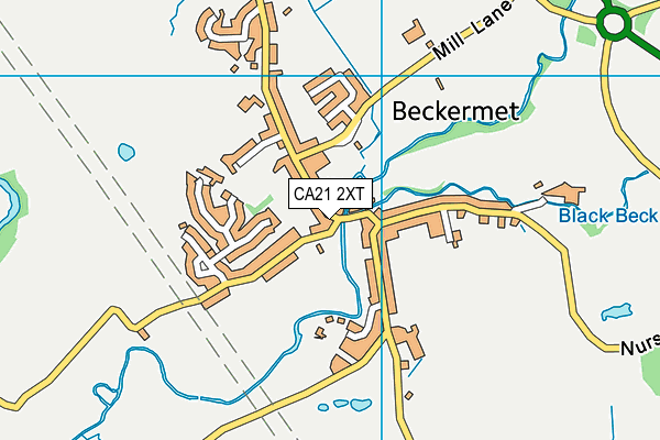 CA21 2XT map - OS VectorMap District (Ordnance Survey)