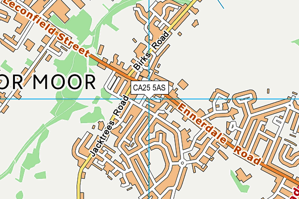 CA25 5AS map - OS VectorMap District (Ordnance Survey)