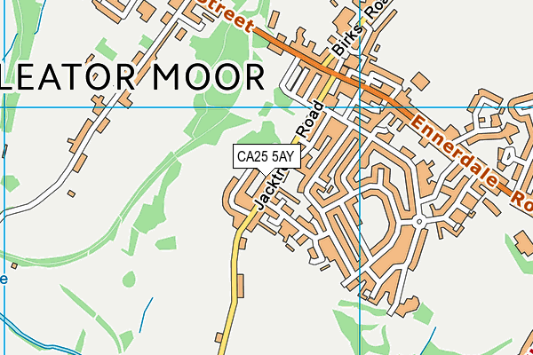 CA25 5AY map - OS VectorMap District (Ordnance Survey)