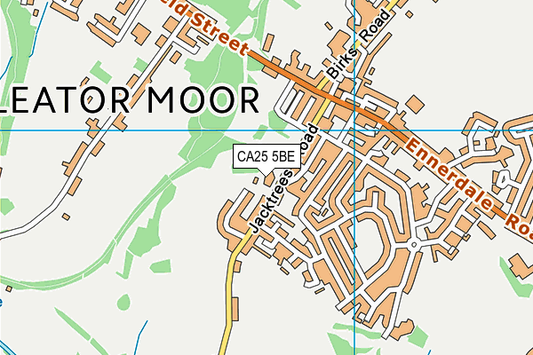 CA25 5BE map - OS VectorMap District (Ordnance Survey)