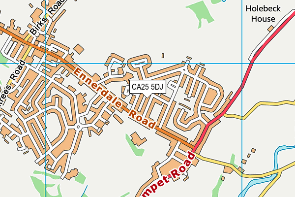 CA25 5DJ map - OS VectorMap District (Ordnance Survey)