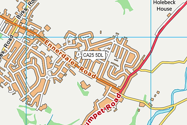 CA25 5DL map - OS VectorMap District (Ordnance Survey)