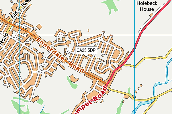 CA25 5DP map - OS VectorMap District (Ordnance Survey)