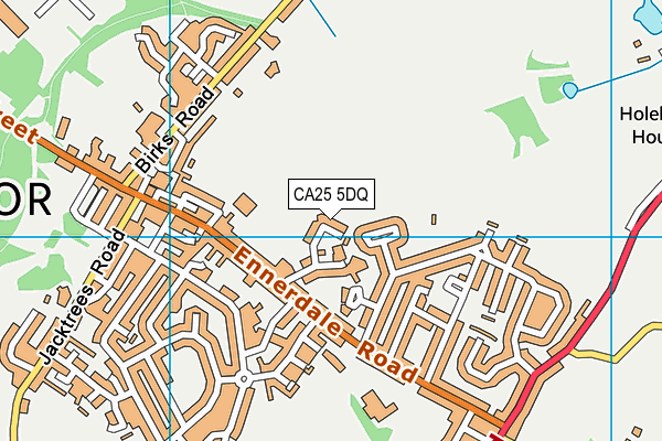 CA25 5DQ map - OS VectorMap District (Ordnance Survey)