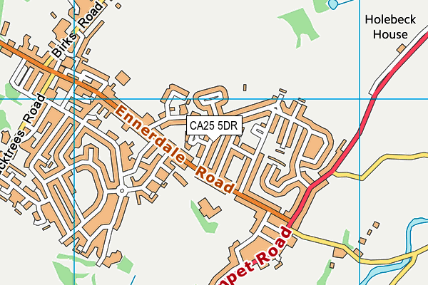 CA25 5DR map - OS VectorMap District (Ordnance Survey)