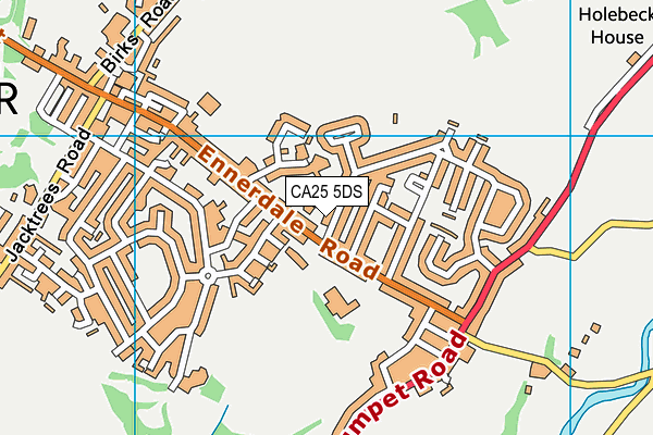 CA25 5DS map - OS VectorMap District (Ordnance Survey)