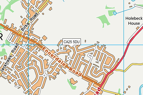 CA25 5DU map - OS VectorMap District (Ordnance Survey)