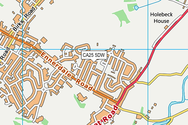 CA25 5DW map - OS VectorMap District (Ordnance Survey)