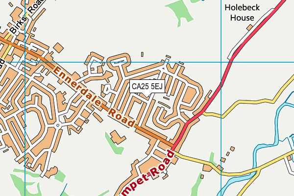 CA25 5EJ map - OS VectorMap District (Ordnance Survey)