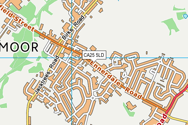 CA25 5LD map - OS VectorMap District (Ordnance Survey)