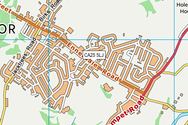 CA25 5LJ map - OS VectorMap District (Ordnance Survey)