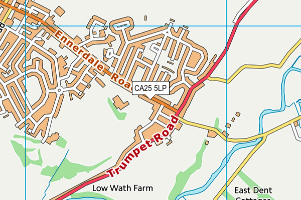 CA25 5LP map - OS VectorMap District (Ordnance Survey)