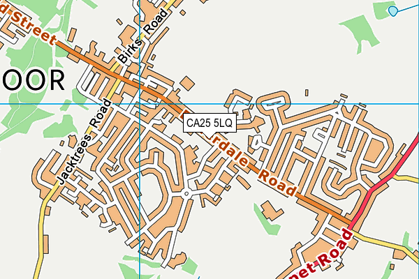 CA25 5LQ map - OS VectorMap District (Ordnance Survey)