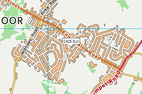 CA25 5LU map - OS VectorMap District (Ordnance Survey)