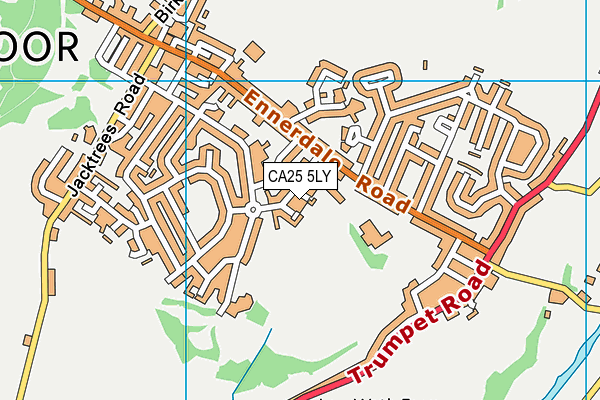 CA25 5LY map - OS VectorMap District (Ordnance Survey)