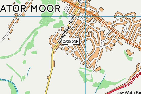 CA25 5NP map - OS VectorMap District (Ordnance Survey)