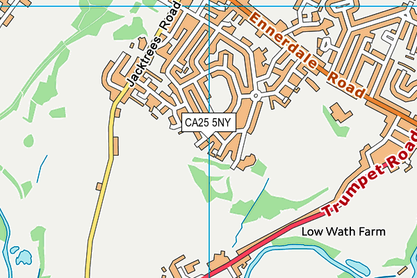 CA25 5NY map - OS VectorMap District (Ordnance Survey)