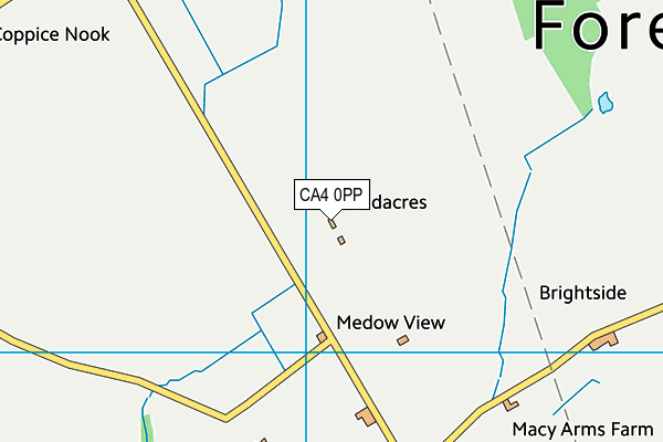 CA4 0PP map - OS VectorMap District (Ordnance Survey)