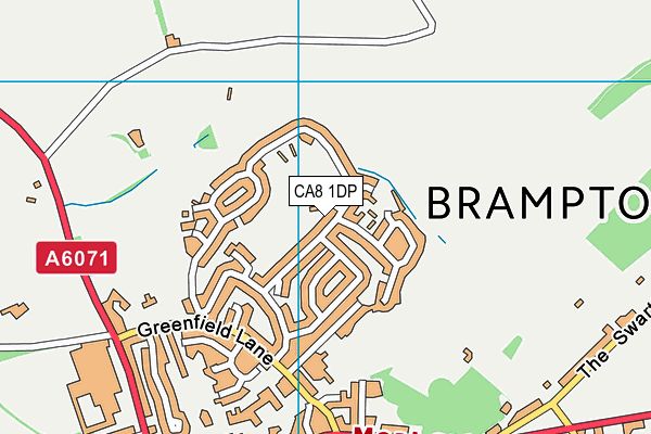 CA8 1DP map - OS VectorMap District (Ordnance Survey)