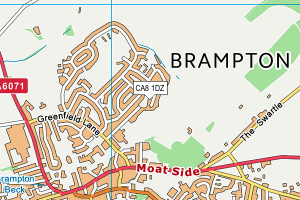 CA8 1DZ map - OS VectorMap District (Ordnance Survey)