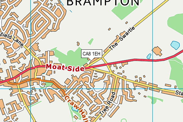 CA8 1EH map - OS VectorMap District (Ordnance Survey)