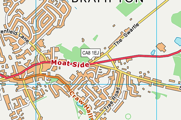 CA8 1EJ map - OS VectorMap District (Ordnance Survey)