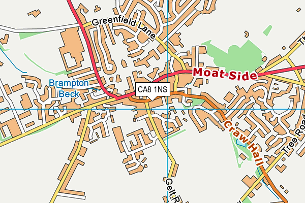 CA8 1NS map - OS VectorMap District (Ordnance Survey)