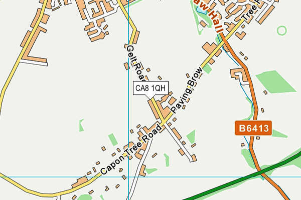 CA8 1QH map - OS VectorMap District (Ordnance Survey)