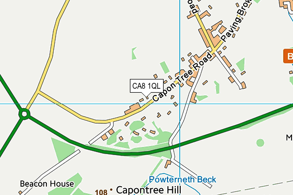 CA8 1QL map - OS VectorMap District (Ordnance Survey)