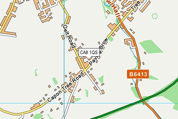 CA8 1QS map - OS VectorMap District (Ordnance Survey)