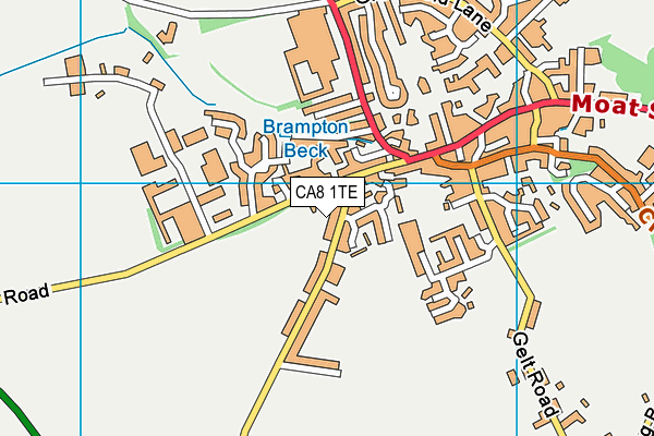 CA8 1TE map - OS VectorMap District (Ordnance Survey)