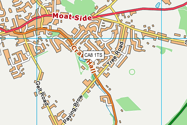CA8 1TS map - OS VectorMap District (Ordnance Survey)