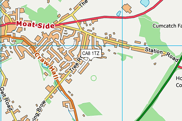 CA8 1TZ map - OS VectorMap District (Ordnance Survey)