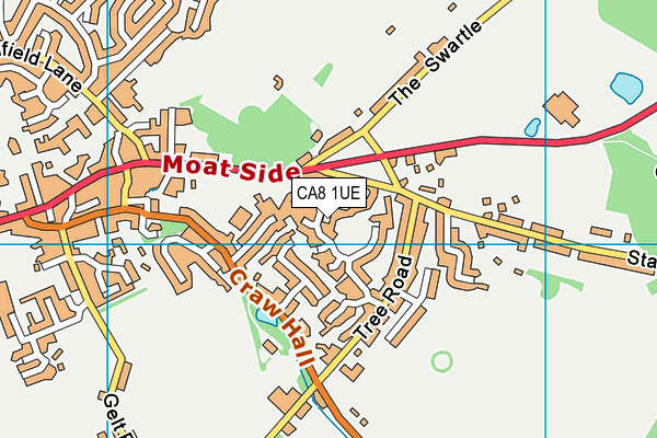 CA8 1UE map - OS VectorMap District (Ordnance Survey)