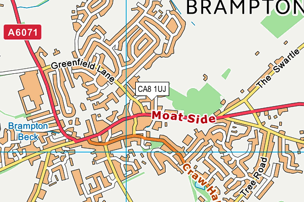 CA8 1UJ map - OS VectorMap District (Ordnance Survey)