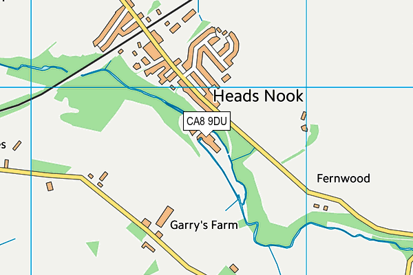 CA8 9DU map - OS VectorMap District (Ordnance Survey)