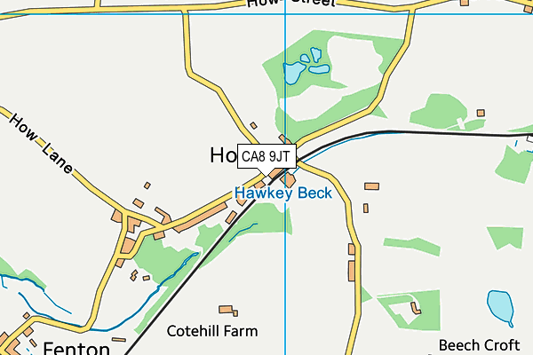 CA8 9JT map - OS VectorMap District (Ordnance Survey)