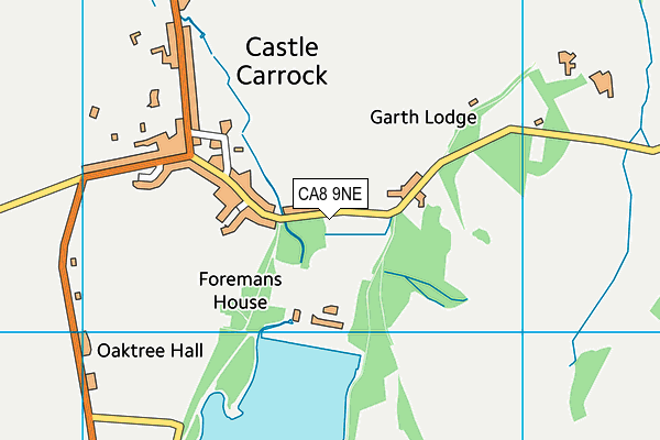 CA8 9NE map - OS VectorMap District (Ordnance Survey)