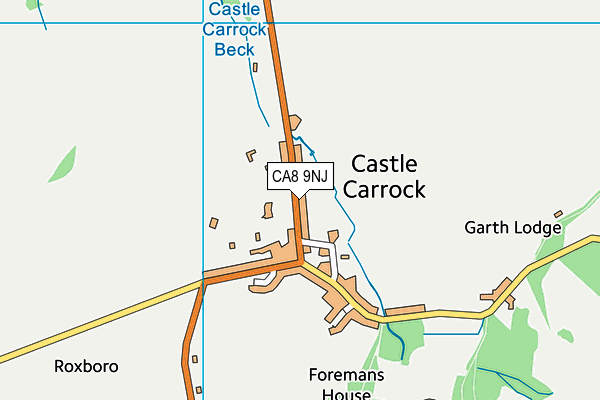 CA8 9NJ map - OS VectorMap District (Ordnance Survey)