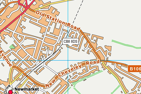 CB8 8DS map - OS VectorMap District (Ordnance Survey)