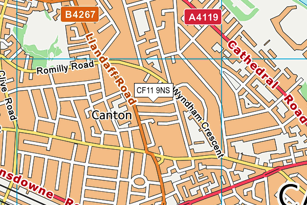 CF11 9NS map - OS VectorMap District (Ordnance Survey)