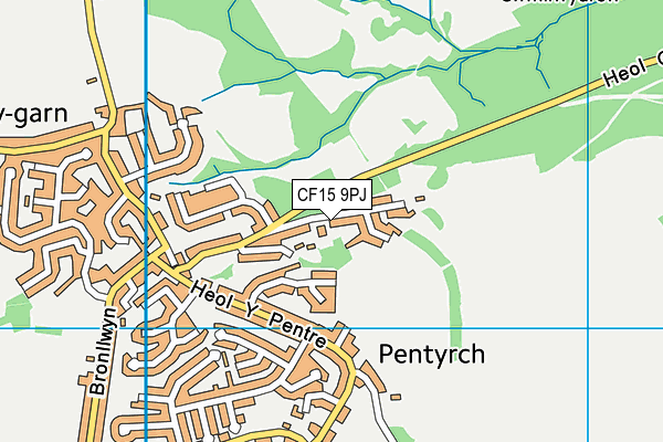 CF15 9PJ map - OS VectorMap District (Ordnance Survey)