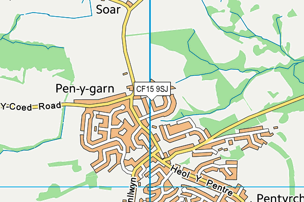 CF15 9SJ map - OS VectorMap District (Ordnance Survey)